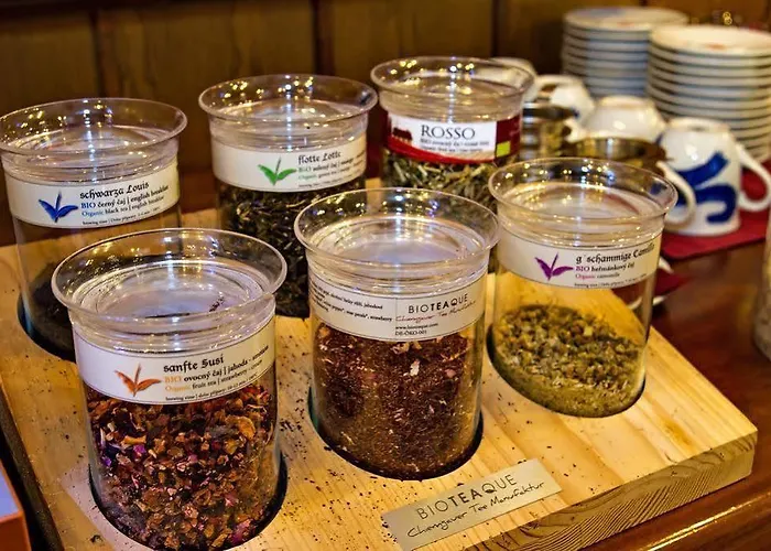 Pensjonat Penzion Jicin Jičín